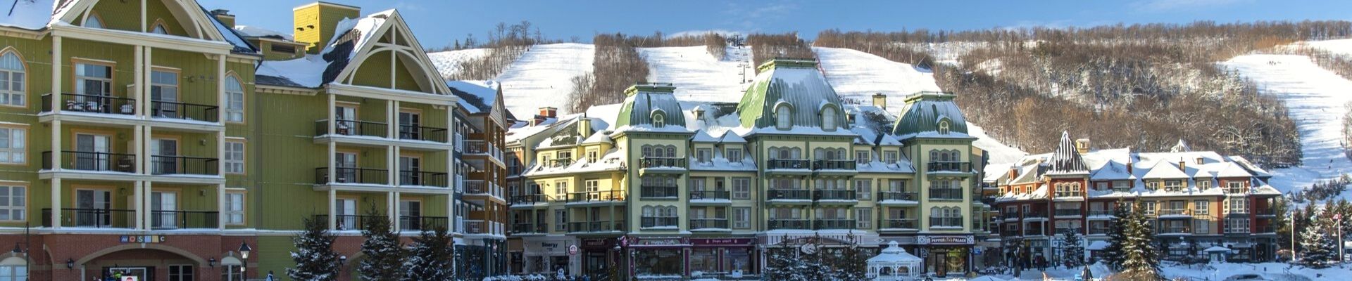 Village Suites Blue Mountain Winter