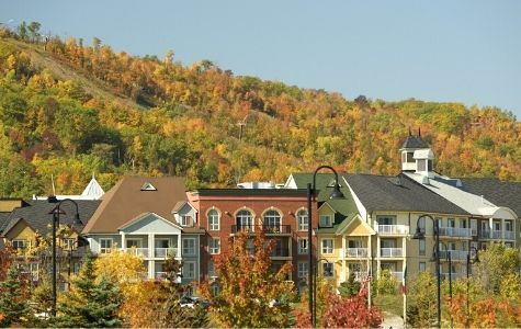 Mosaic Suites in the Fall