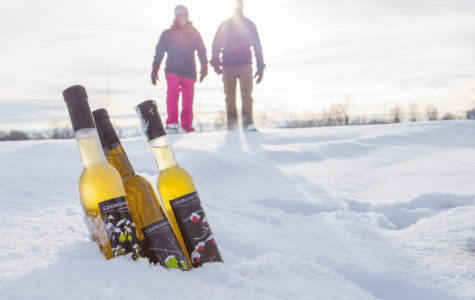 People snowshoeing with ice wine in the snow